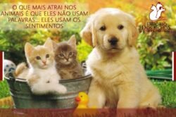 VAGA PARA TOSADOR(A)